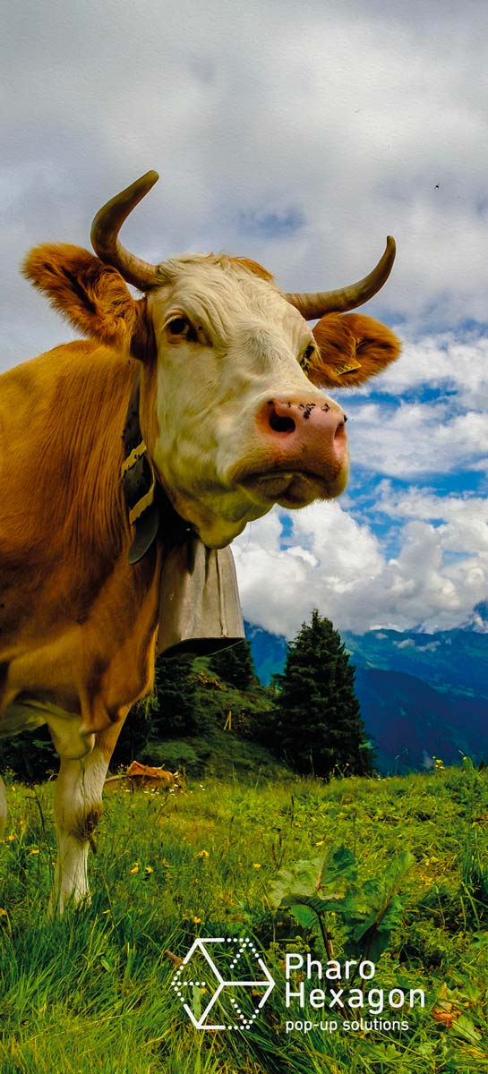 Blanc - impression directe