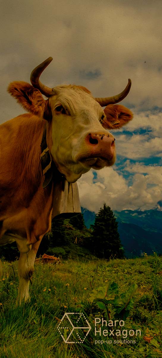 Marron - impression directe